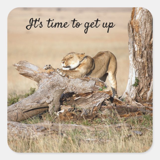 Es ist Zeit, Lion Foto mit Text aufzustehen Quadratischer Aufkleber (Vorderseite)