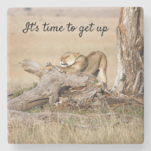 Es ist Zeit, Lion Foto mit Text aufzustehen Steinuntersetzer