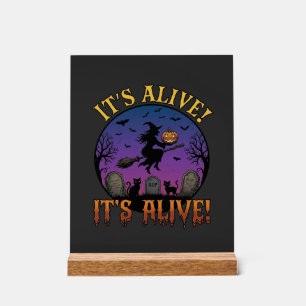 Es lebt Halloween Hexe Kürbis Schwarze Katze Grabs Acrylschild