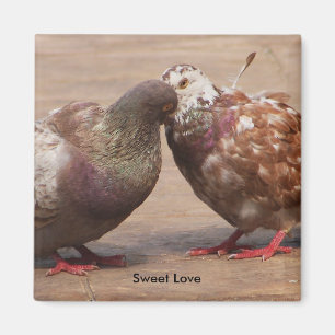 Es muss Liebe sein Magnet