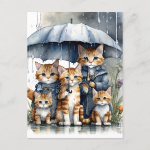 Es regnete draußen, also nannte die Mutterkatze h Postkarte