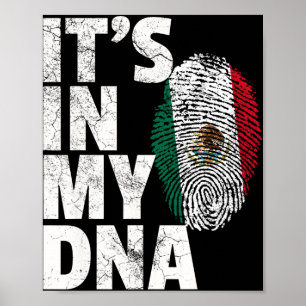 Es Steckt In Meiner Dna Mexikanisch Mexiko Flagge  Poster