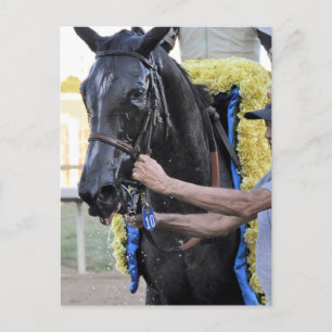 Es Tiz gut, Cotillion Gewinner Postkarte