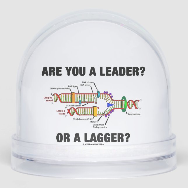 Es-Tu Un Leader ? Ou Un Plus Grand ? Réplication A (Avant)