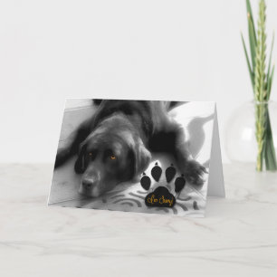 Es tut mir leid Funny Verse mit Niedlichem Labrado Karte