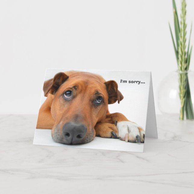 Es tut mir leid Hundekarte Karte (Vorderseite)