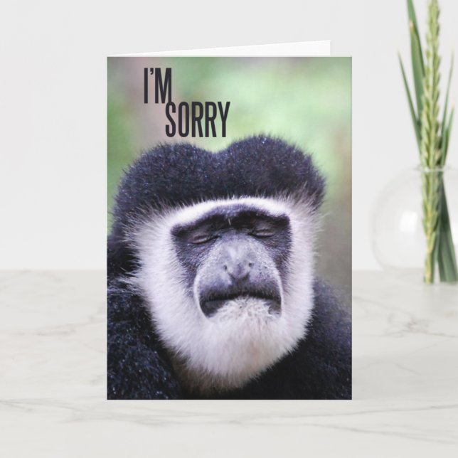 Es tut mir leid, Monkey Karte (Vorderseite)