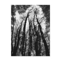 Es war einmal im Wald
