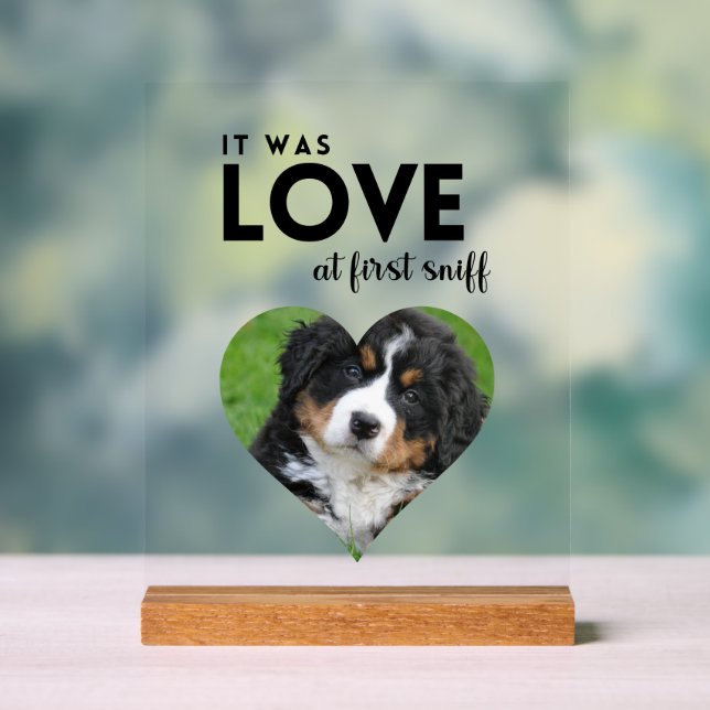 Es war LIEBE Custom Foto Dog Memorial Acrylschild (Neutral)
