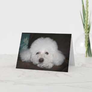 Es wird okay sein Hund Karte