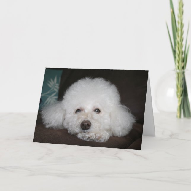 Es wird schon okay Hund Karte (Vorderseite)