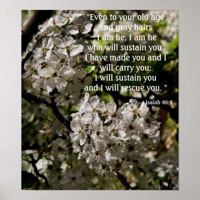 Ésaïe 46:4 affiche (Devant)