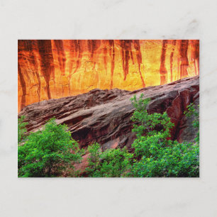 Escalante Neon Canyon und Laubwerk   Utah Postkarte