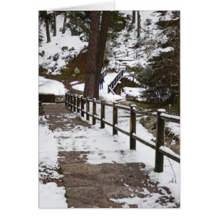 Escalier dans la neige, vierge à l'intérieur