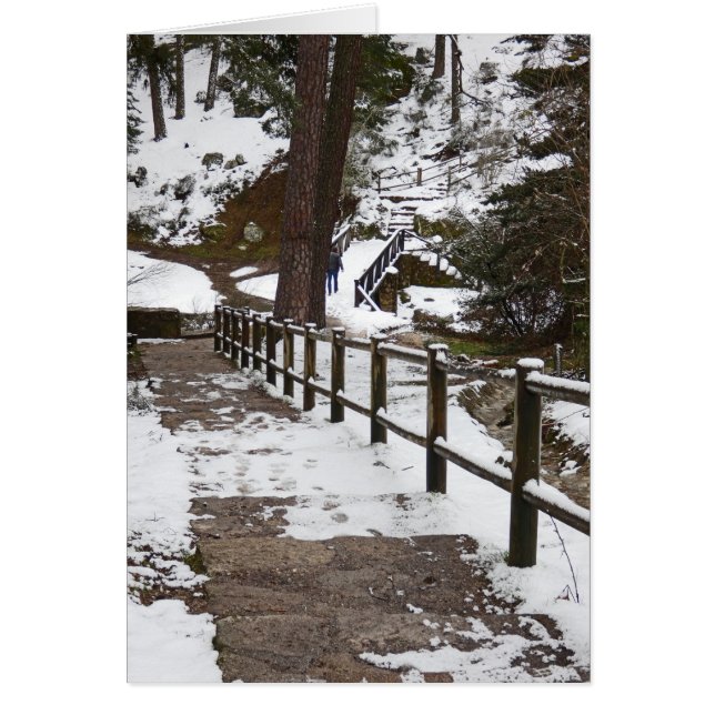 Escalier dans la neige, vierge à l'intérieur (Devant)