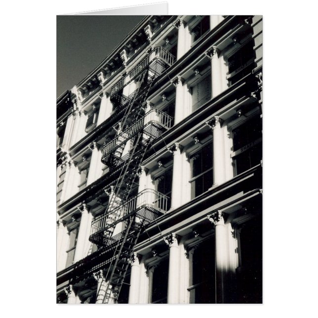 escalier en terrasse (Devant)