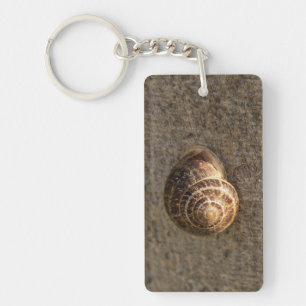 Escargot
