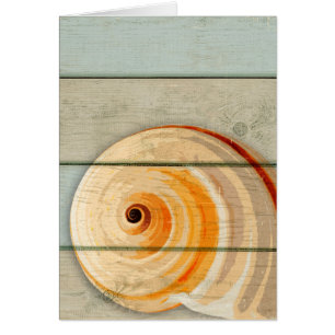 Escargot de lune