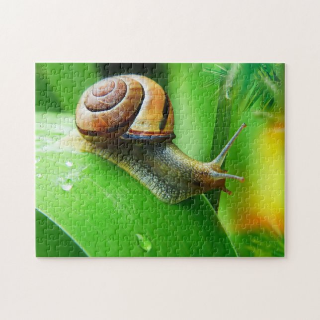 Escargot en gros plan, Puzzle Jigsaw (Horizontal)