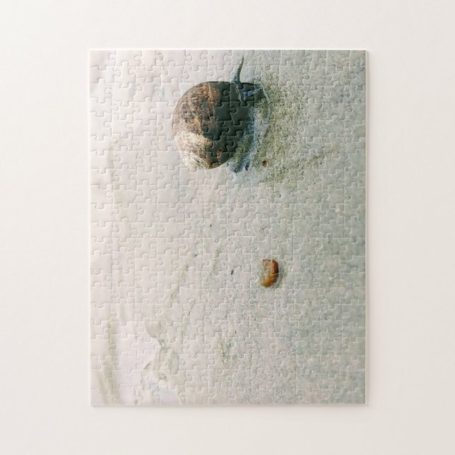Escargot sur le puzzle de plage (Vertical)