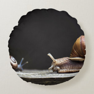 Escargots - Schneckenmuschel Rundes Kissen