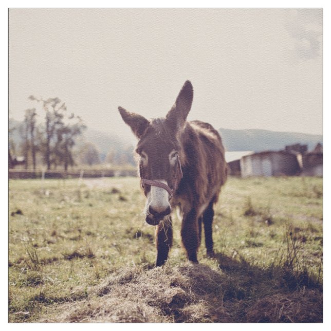 Esel füttern stoff (Muster)