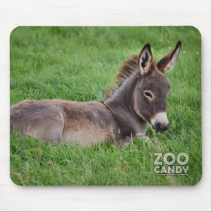Esel im Gras Mousepad