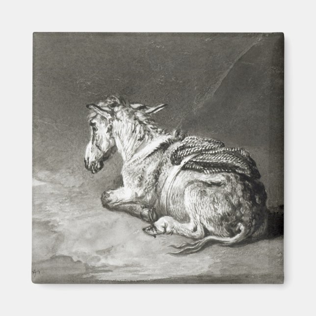 Esel in der Erholung Magnet (Vorne)