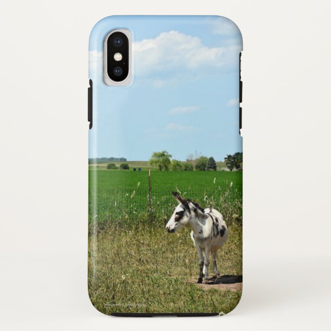 Esel in einem Feld Case-Mate iPhone Hülle (Rückseite)