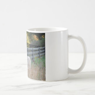 Esel in einem Herbstfeld Kaffeetasse