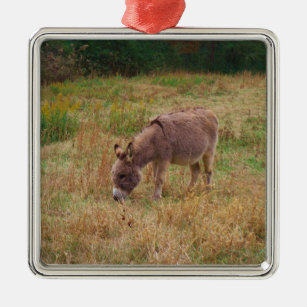 Esel in einem Herbstfeld. Silbernes Ornament
