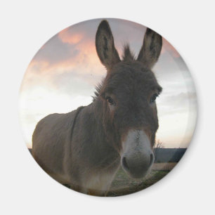 Esel-Kunst Magnet