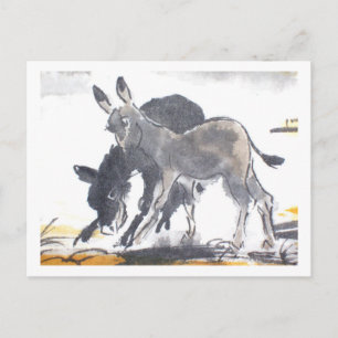 Esel Nr. 01 * Esel-Postkarten * Donkey-Postkarten Postkarte