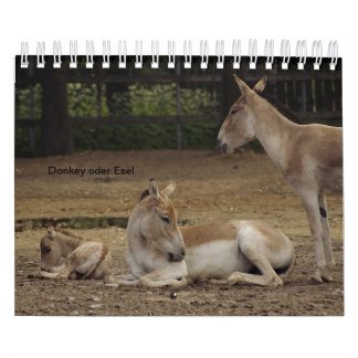 Esel oder Donkey als Kalender