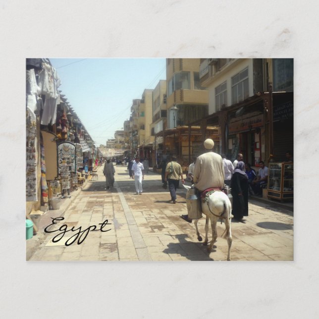 Esel Postkarte (Vorderseite)