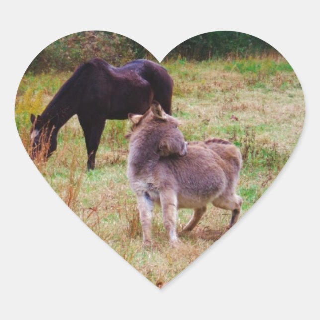 Esel und Pferd in einem Herbstfeld. Herz-Aufkleber (Vorderseite)