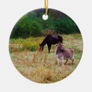 Esel und Pferd in einem Herbstfeld. Keramikornament