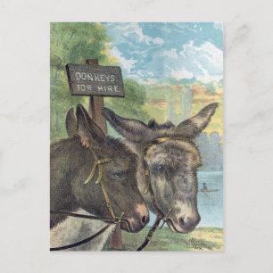 Esel zur Miete Postkarte