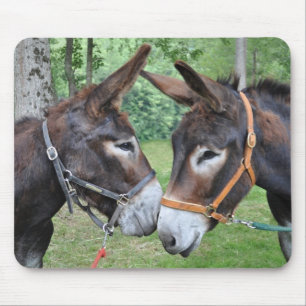 Eselfreunde Mousepad