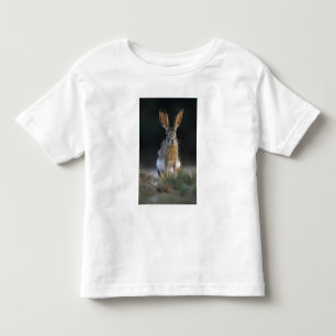 Eselhase, Lepus californicus, 2 Kleinkind T-shirt