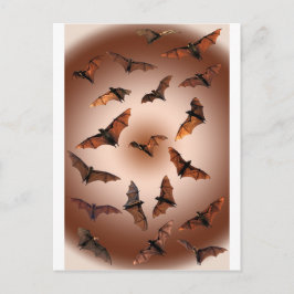 Eselige Obstbäume (Fliegenfüchse) Postkarte