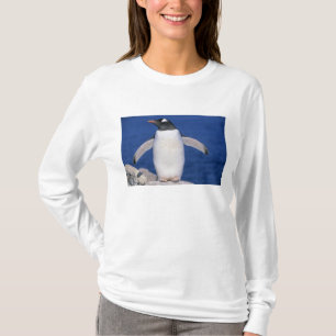 Eselspinguin (Pygoscelis papua) Porträt T-Shirt