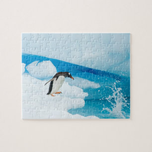 Eselspinguin, Pygoscelis Papua, springt ab