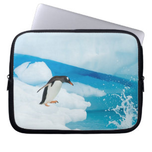 Eselspinguin, Pygoscelis Papua, springt ab Laptopschutzhülle