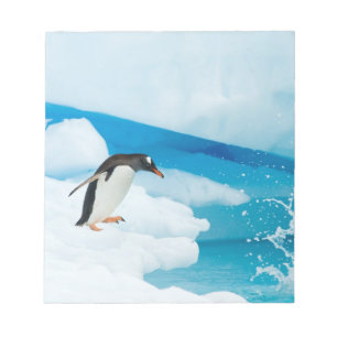 Eselspinguin, Pygoscelis Papua, springt ab Notizblock