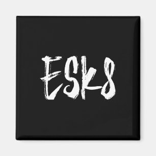 Esk8 - Elektrisches Skateboarding Magnet