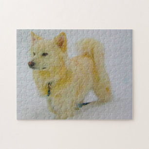 Eskimohunde.