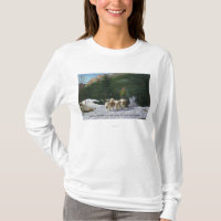 Eskimohunderanch Eds Clarks, Dogsledding
