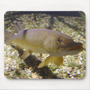 Esox lucius mousepad