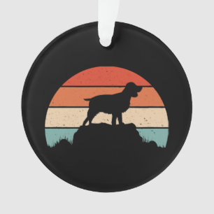 Espagnol à brancard anglais